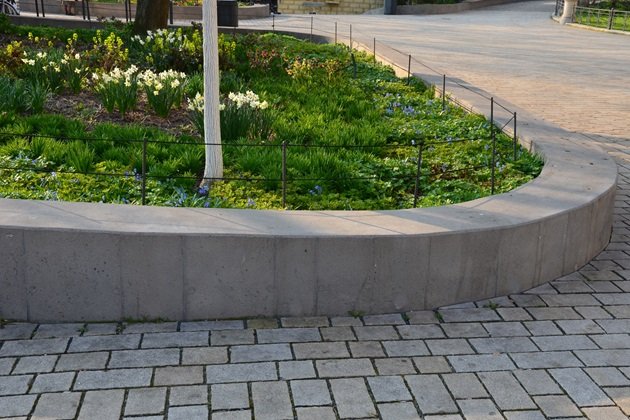 Multi-level concrete retaining wall creating terraced garden spaces in Maitland